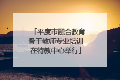 平度市融合教育骨干教师专业培训在特教中心举行