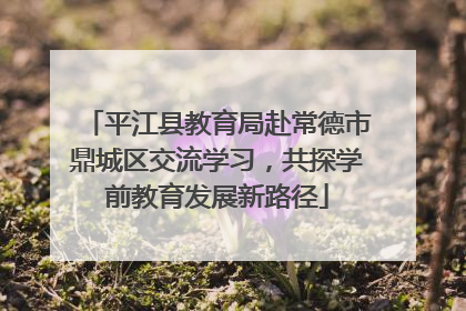平江县教育局赴常德市鼎城区交流学习，共探学前教育发展新路径