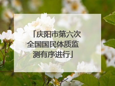 庆阳市第六次全国国民体质监测有序进行