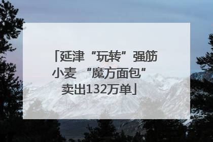 延津“玩转”强筋小麦 “魔方面包”卖出132万单