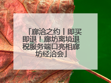 廊洽之约丨即买即退！廊坊离境退税服务端口亮相廊坊经洽会
