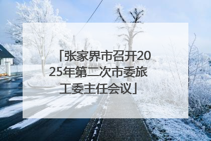 张家界市召开2025年第二次市委旅工委主任会议