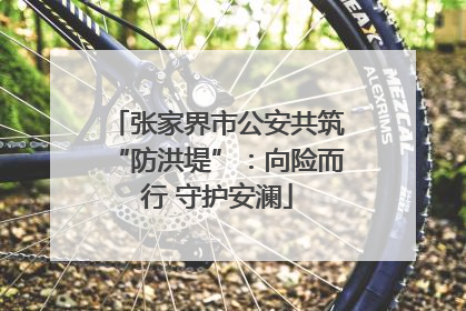 张家界市公安共筑“防洪堤”：向险而行 守护安澜