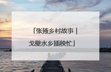张掖乡村故事｜戈壁水乡插秧忙