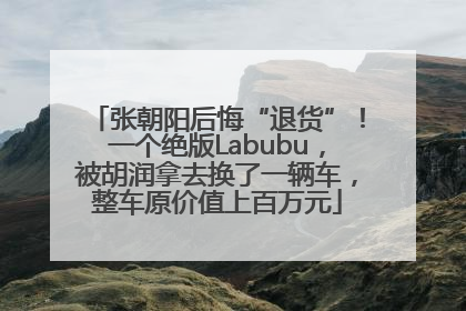 张朝阳后悔“退货”！一个绝版Labubu，被胡润拿去换了一辆车，整车原价值上百万元