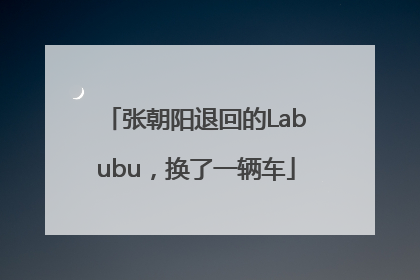 张朝阳退回的Labubu，换了一辆车