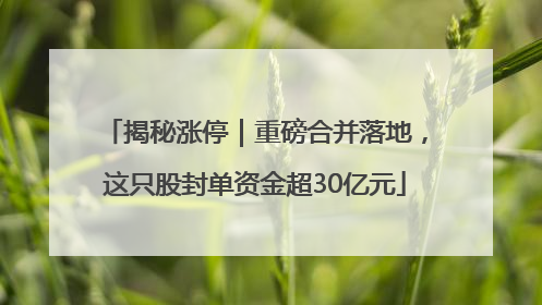 揭秘涨停｜重磅合并落地，这只股封单资金超30亿元