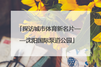 探访城市体育新名片——沈阳国际泵道公园