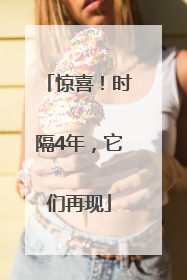 惊喜！时隔4年，它们再现