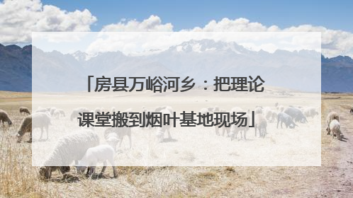 房县万峪河乡：把理论课堂搬到烟叶基地现场