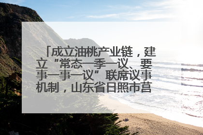 成立油桃产业链，建立“常态一季一议、要事一事一议”联席议事机制，山东省日照市莒县果庄镇——13个党小组“全周期”育果