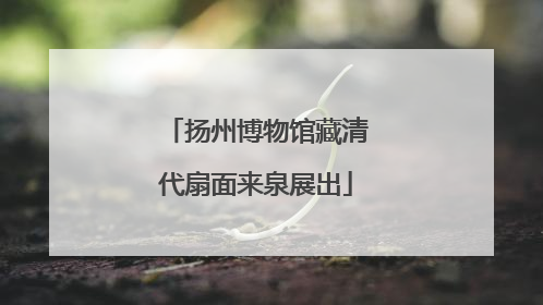 扬州博物馆藏清代扇面来泉展出