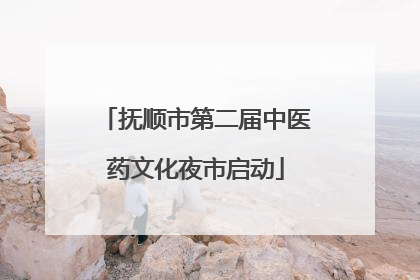 抚顺市第二届中医药文化夜市启动