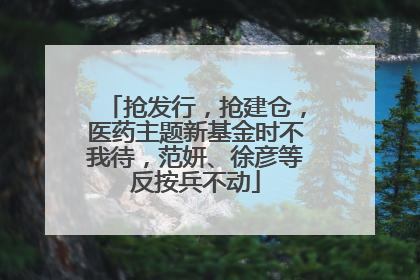 抢发行，抢建仓，医药主题新基金时不我待，范妍、徐彦等反按兵不动