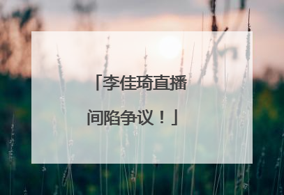 李佳琦直播间陷争议！