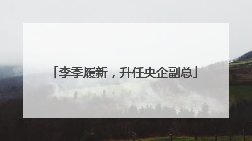 李季履新，升任央企副总