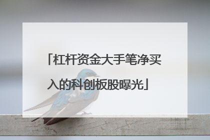 杠杆资金大手笔净买入的科创板股曝光