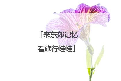来东郊记忆 看旅行蛙蛙