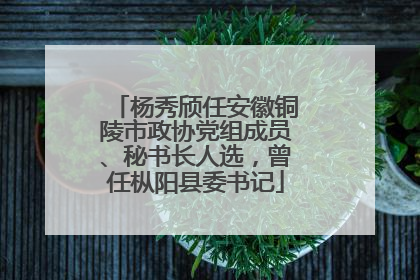 杨秀颀任安徽铜陵市政协党组成员、秘书长人选，曾任枞阳县委书记