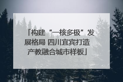 构建“一核多极”发展格局 四川宜宾打造产教融合城市样板