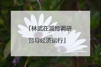 林武在淄博调研督导经济运行