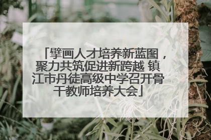 擘画人才培养新蓝图，聚力共筑促进新跨越 镇江市丹徒高级中学召开骨干教师培养大会