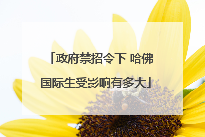政府禁招令下 哈佛国际生受影响有多大