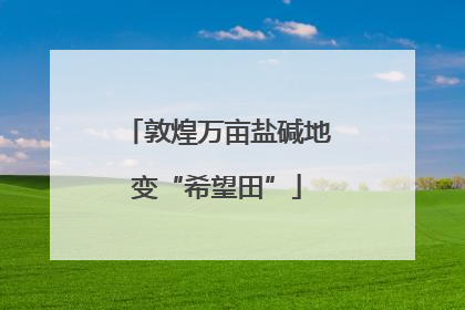 敦煌万亩盐碱地变“希望田”