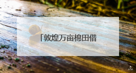 敦煌万亩棉田借北斗导航播种系统实现“精种”