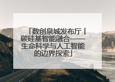 数创泉城发布厅丨碳硅基智能融合——生命科学与人工智能的边界探索