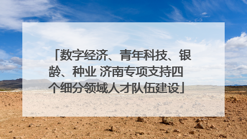 数字经济、青年科技、银龄、种业 济南专项支持四个细分领域人才队伍建设