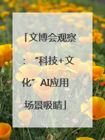 文博会观察：“科技+文化”AI应用场景吸睛