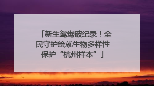 新生鸳鸯破纪录！全民守护绘就生物多样性保护“杭州样本”