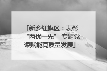 新乡红旗区：表彰 “两优一先” 专题党课赋能高质量发展