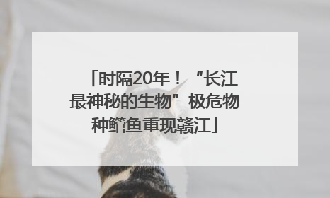 时隔20年！“长江最神秘的生物”极危物种鳤鱼重现赣江
