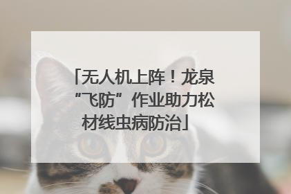 无人机上阵！龙泉“飞防”作业助力松材线虫病防治