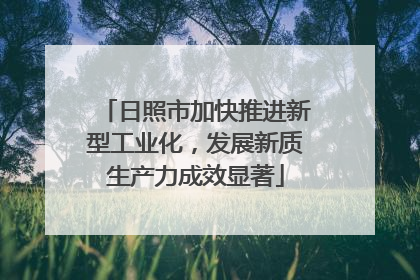 日照市加快推进新型工业化，发展新质生产力成效显著