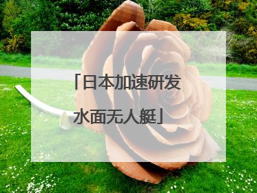 日本加速研发水面无人艇