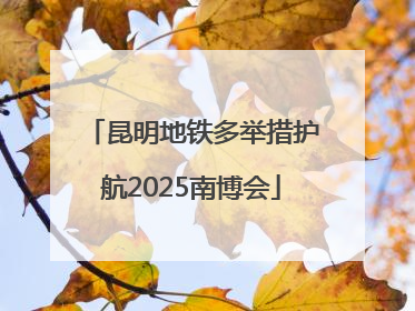 昆明地铁多举措护航2025南博会