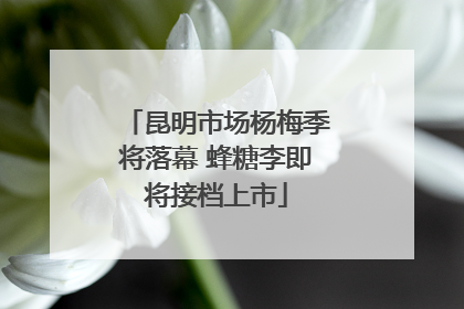 昆明市场杨梅季将落幕 蜂糖李即将接档上市