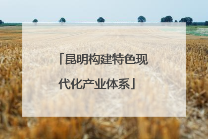 昆明构建特色现代化产业体系