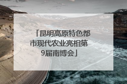 昆明高原特色都市现代农业亮相第9届南博会
