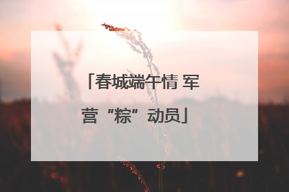 春城端午情 军营“粽”动员