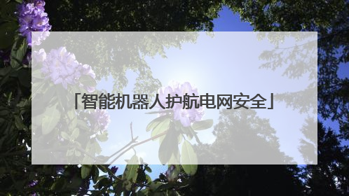 智能机器人护航电网安全