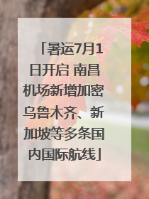 暑运7月1日开启 南昌机场新增加密乌鲁木齐、新加坡等多条国内国际航线
