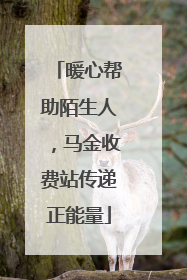 暖心帮助陌生人，马金收费站传递正能量