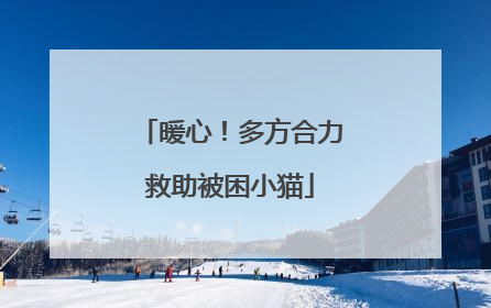 暖心！多方合力救助被困小猫