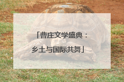 曹庄文学盛典：乡土与国际共舞