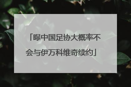 曝中国足协大概率不会与伊万科维奇续约