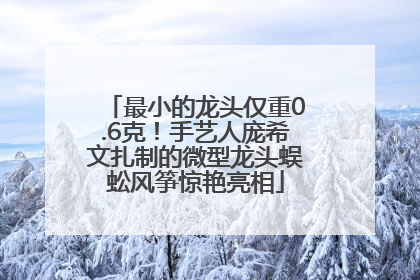 最小的龙头仅重0.6克！手艺人庞希文扎制的微型龙头蜈蚣风筝惊艳亮相